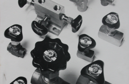 Needle & Manifold Valves
